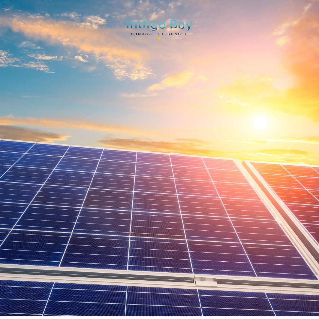 Indigo Bay Ocean Front Condo