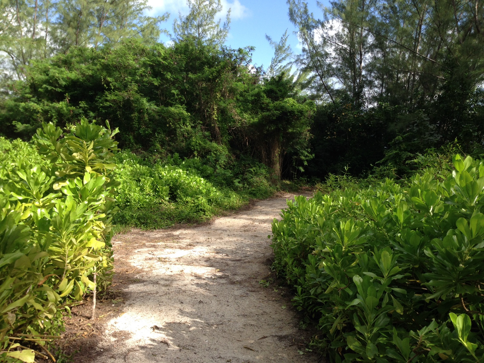 Pease Bay Beach Front Lot B1 & B2