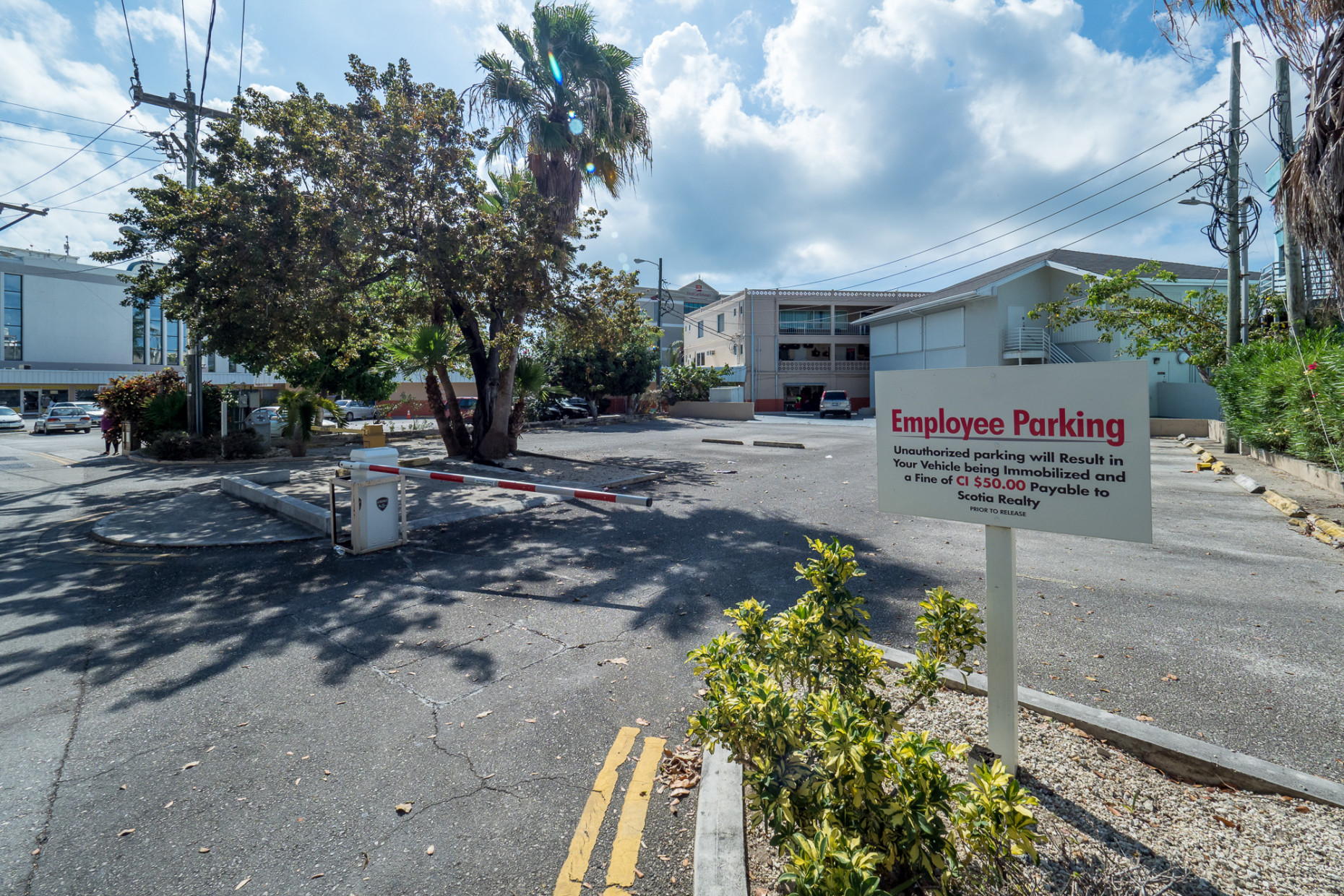 6 Cardinall Ave - Prime Investment Opportunity