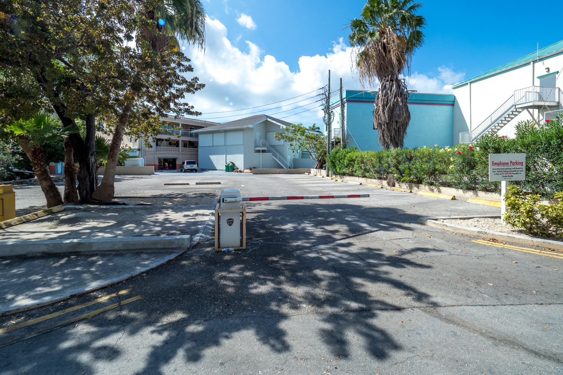 6 Cardinall Ave - Prime Investment Opportunity