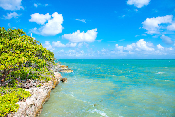 Vista Del Mar 1.23 Acre Oceanfront Lot