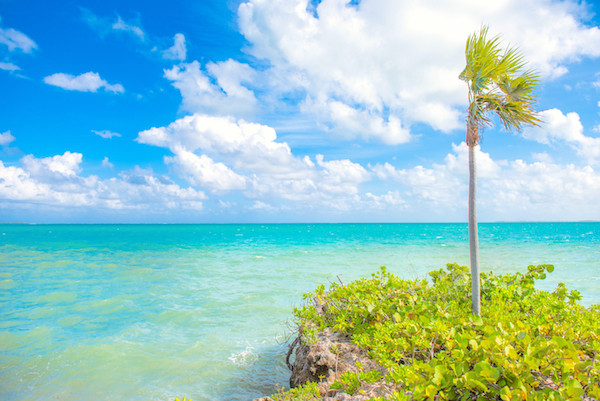 Vista Del Mar 1.23 Acre Oceanfront Lot