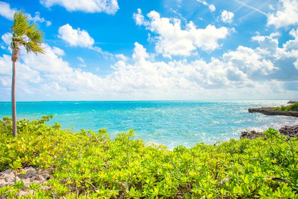 Vista Del Mar 1.23 Acre Oceanfront Lot