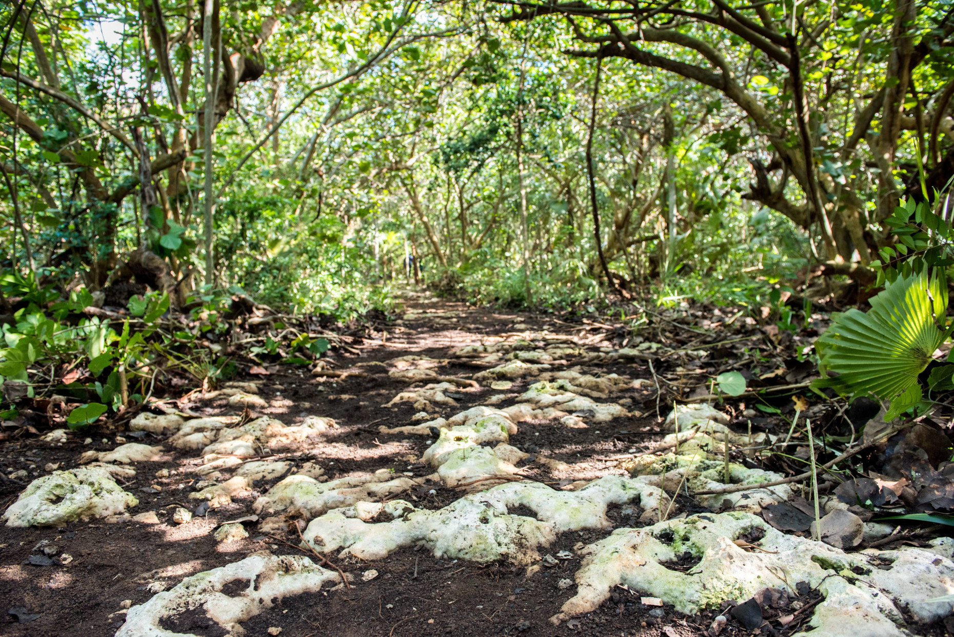 Vista Del Mar 1.23 Acre Oceanfront Lot