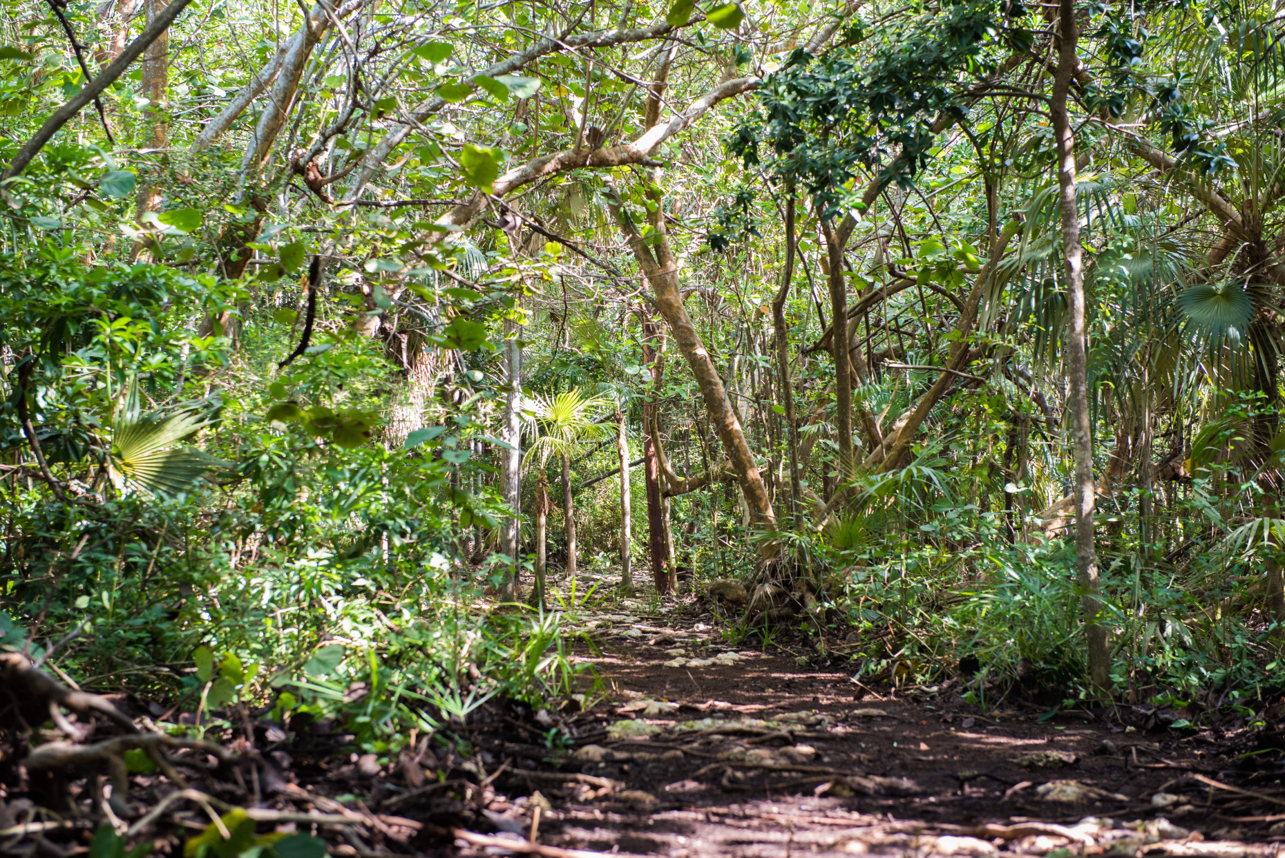 Vista Del Mar 1.23 Acre Oceanfront Lot