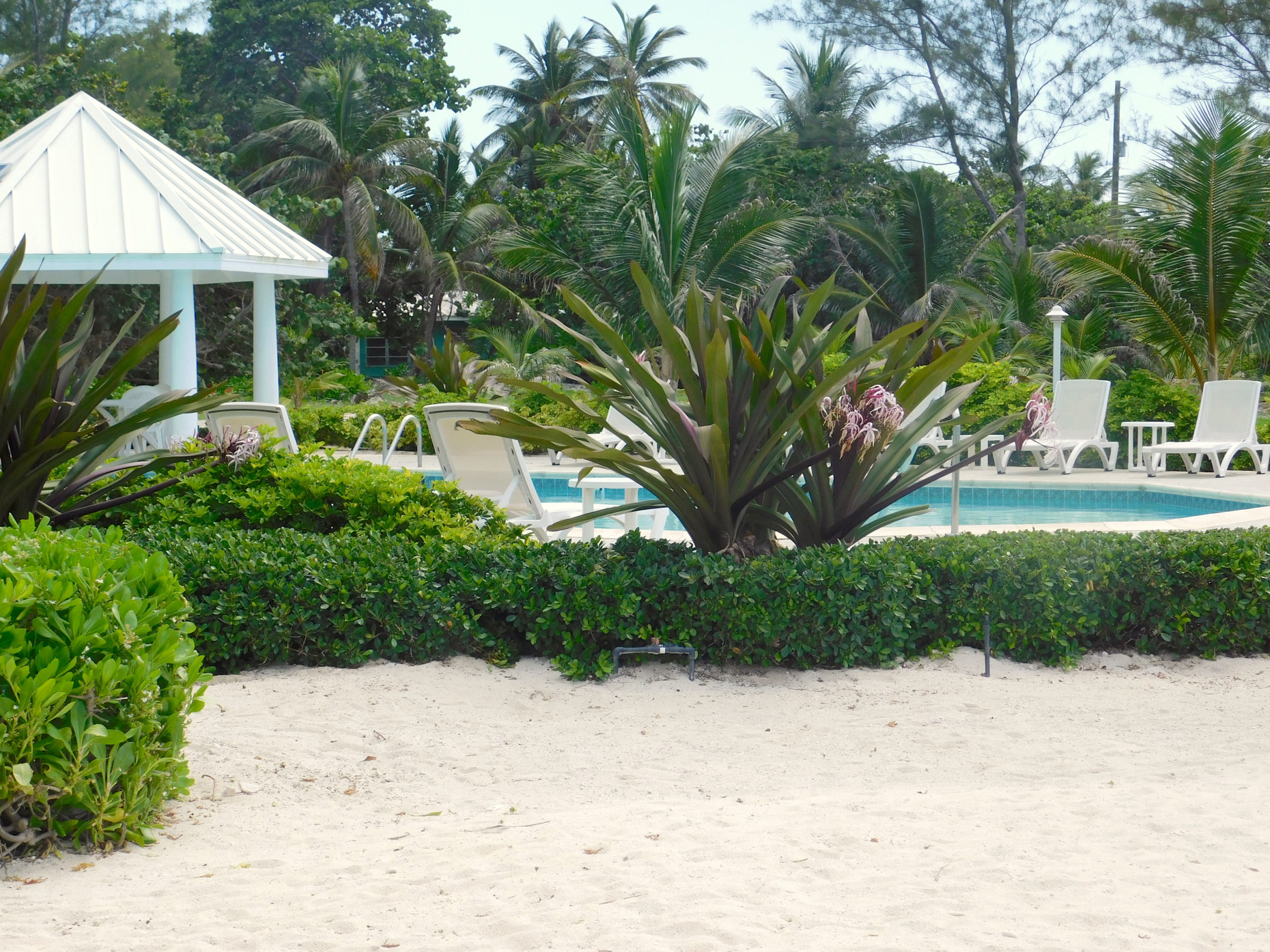 On The Bay, North Side