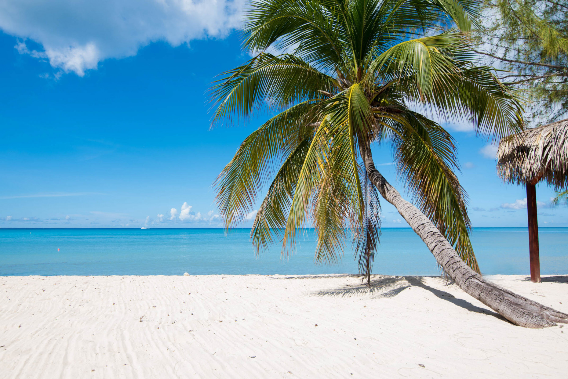 Harbour Heights Seven Mile Beach