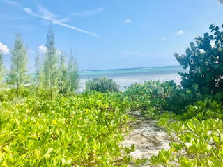 South Sound Beach Front Parcel