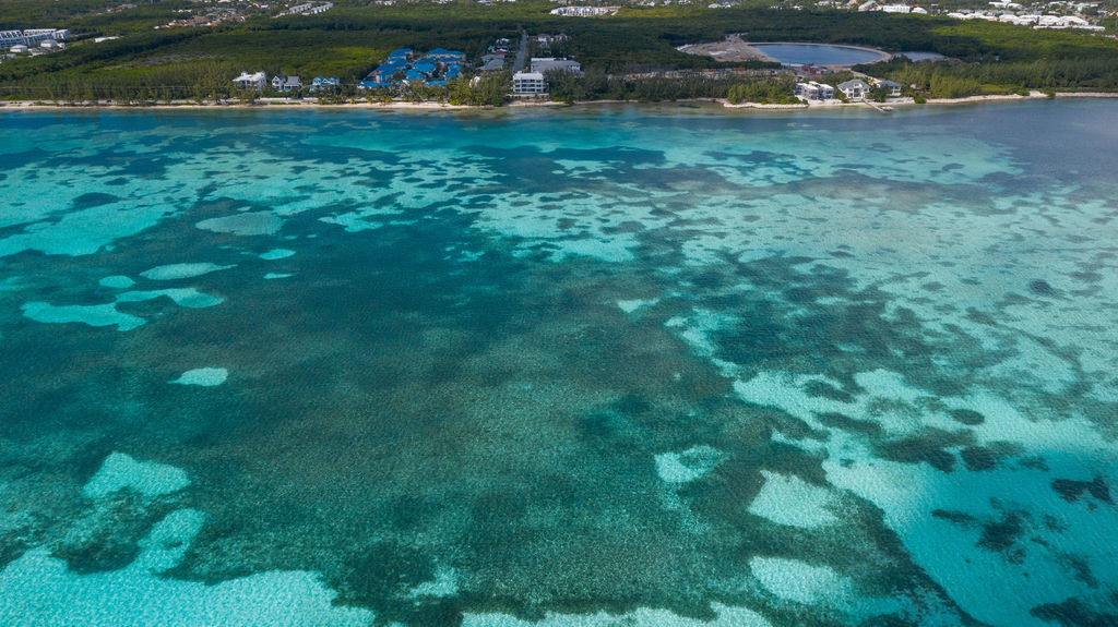 South Bay Residences Penthouse