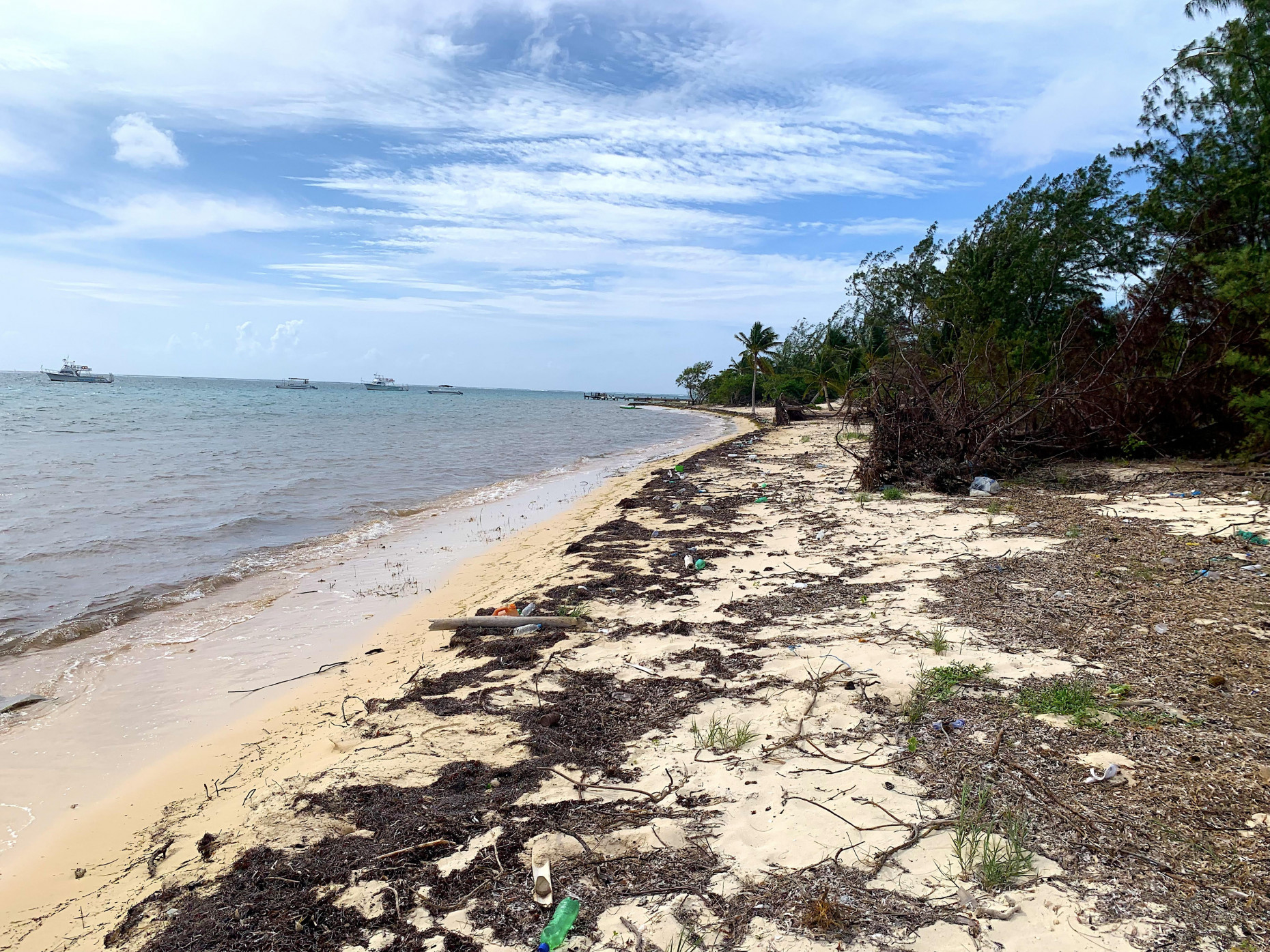 Beach Front Lot Next To Cayman Castle