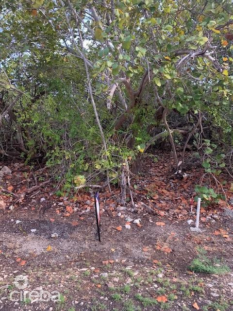 SOUTH SIDE OCEAN FRONT LAND