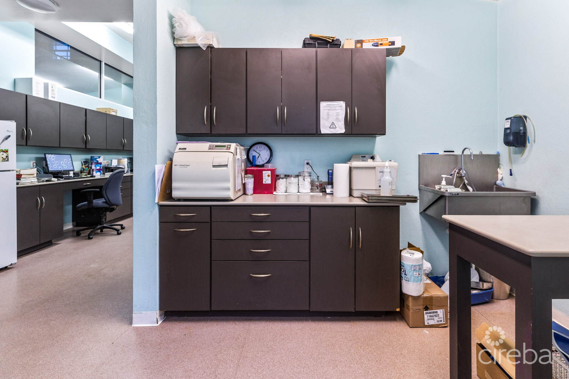 ISLAND VETERINARY SERVICES VET CLINIC AND PROPERTY