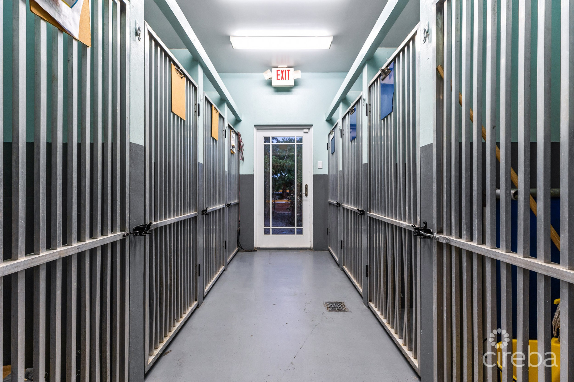 ISLAND VETERINARY SERVICES VET CLINIC AND PROPERTY