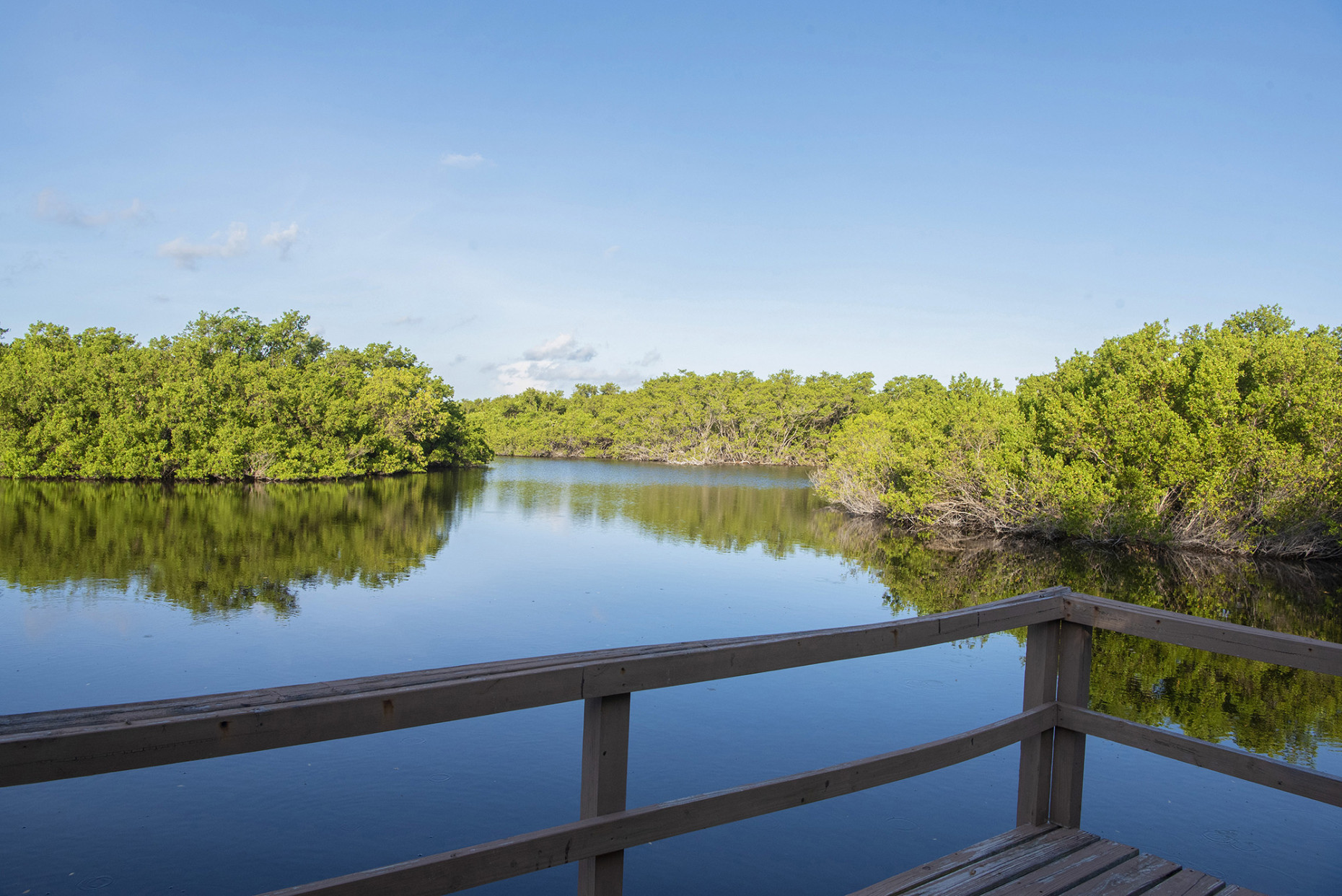 Windmill Pointe Estate & Grounds