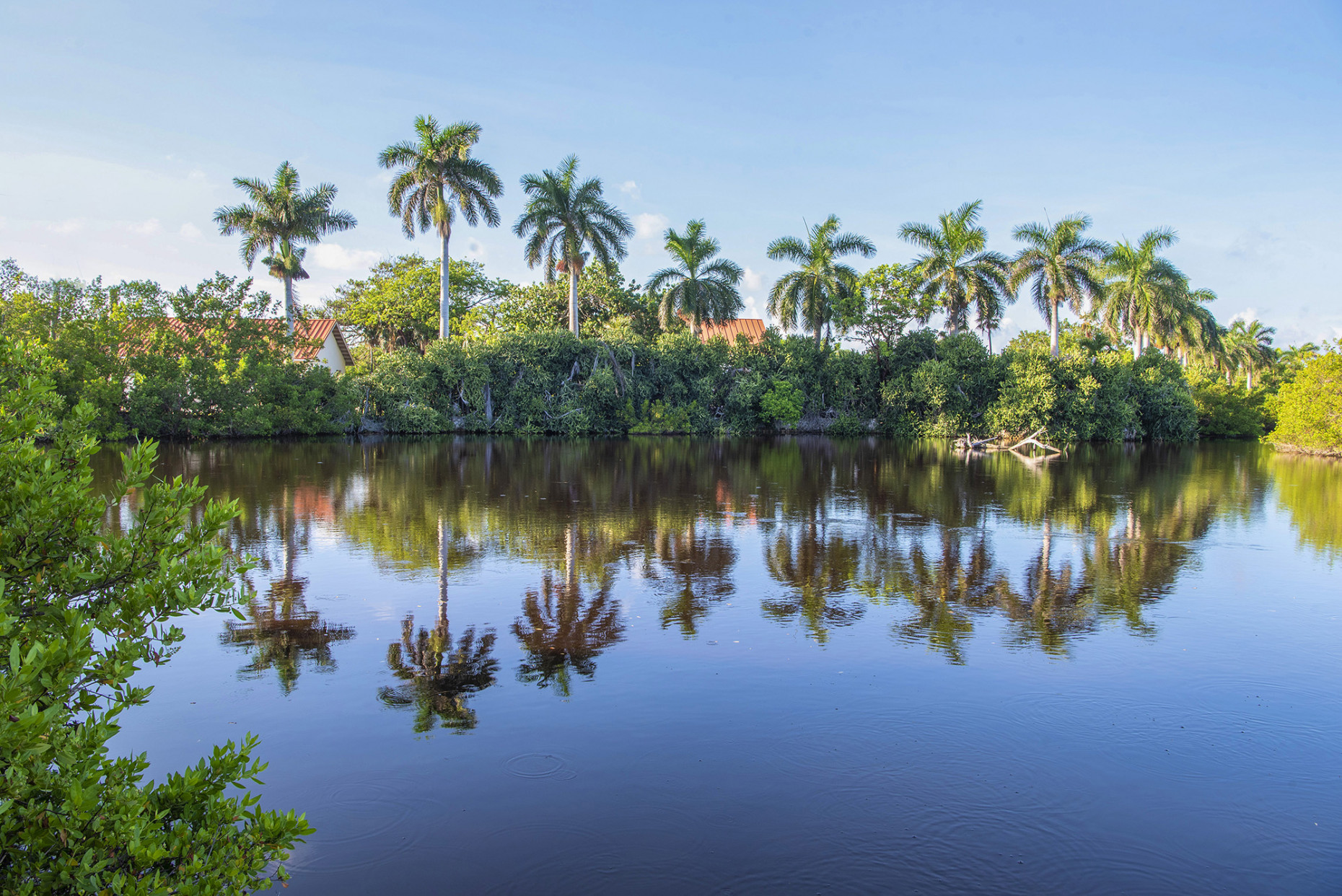 Windmill Pointe Estate & Grounds