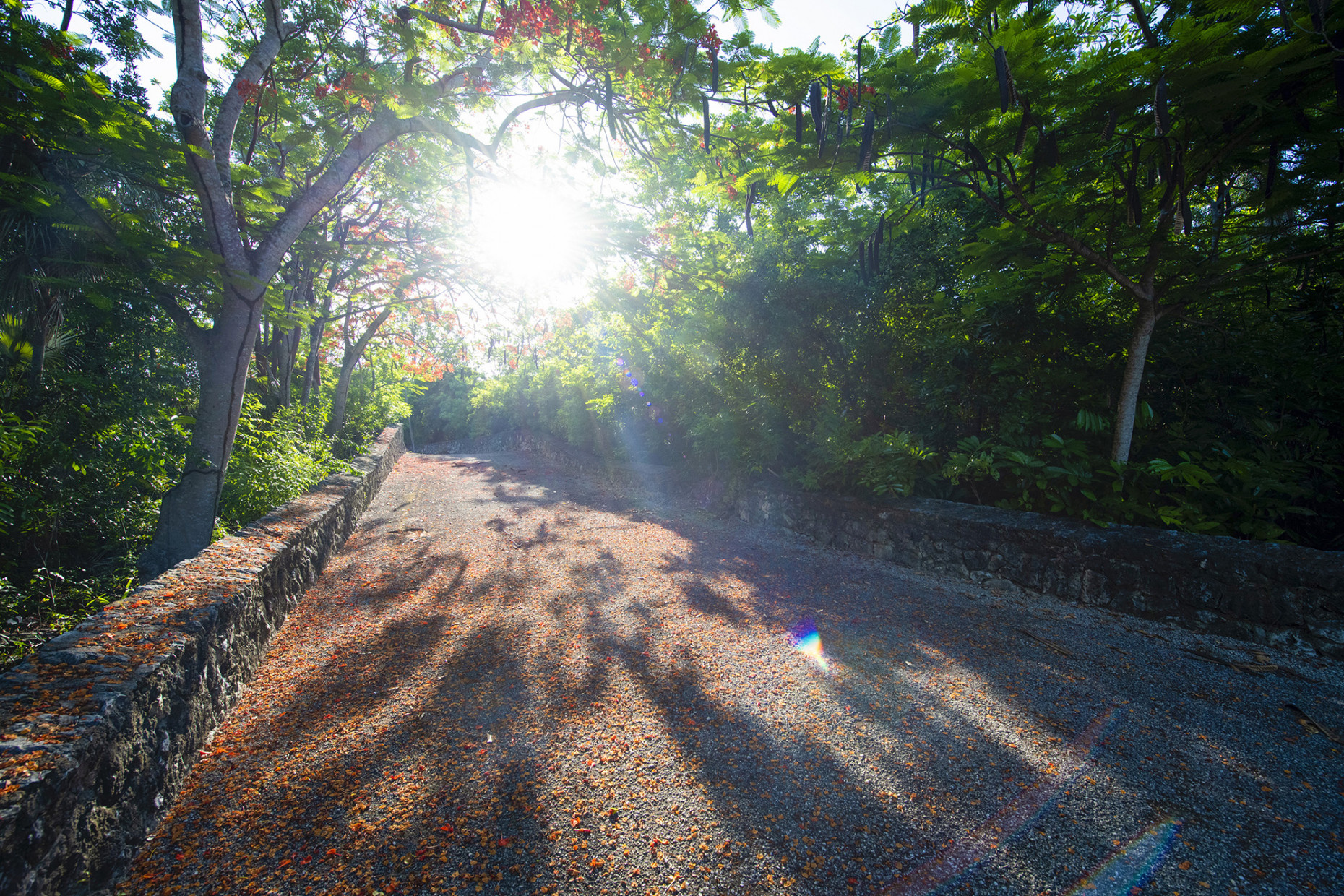 Windmill Pointe Estate & Grounds