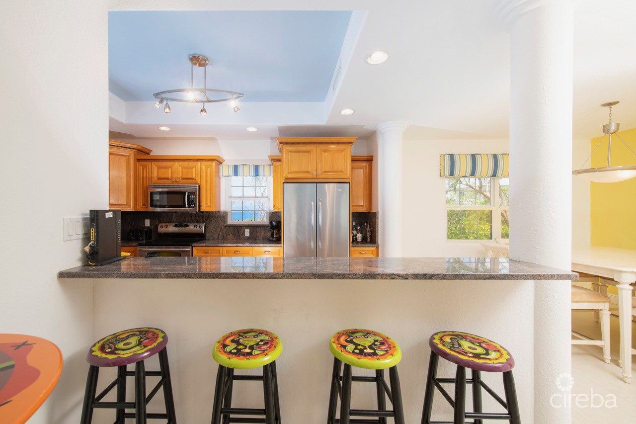 SAVANNAH BLUFF OCEANFRONT HOME