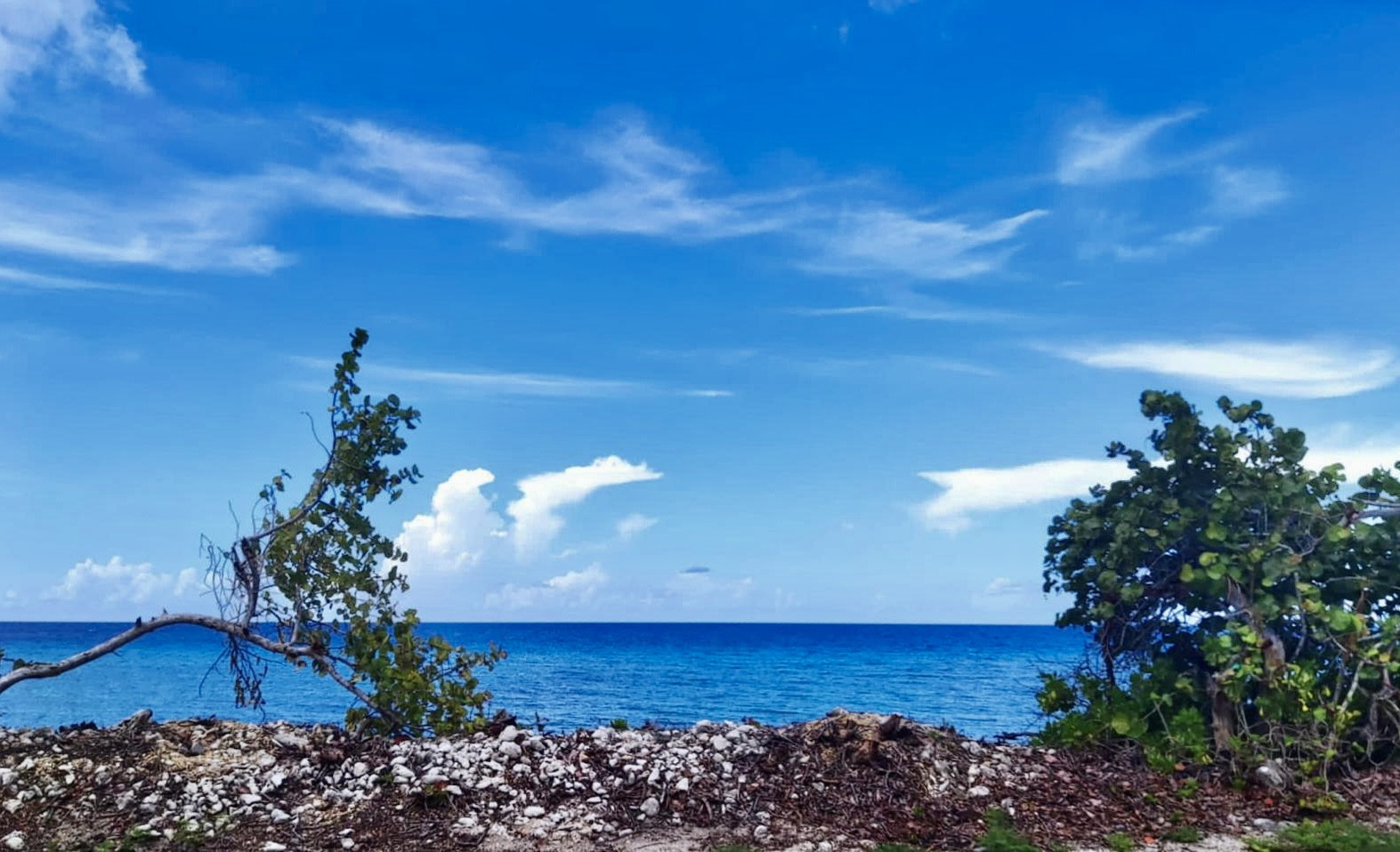 Ocean Front Parcel On Rumpoint Drive