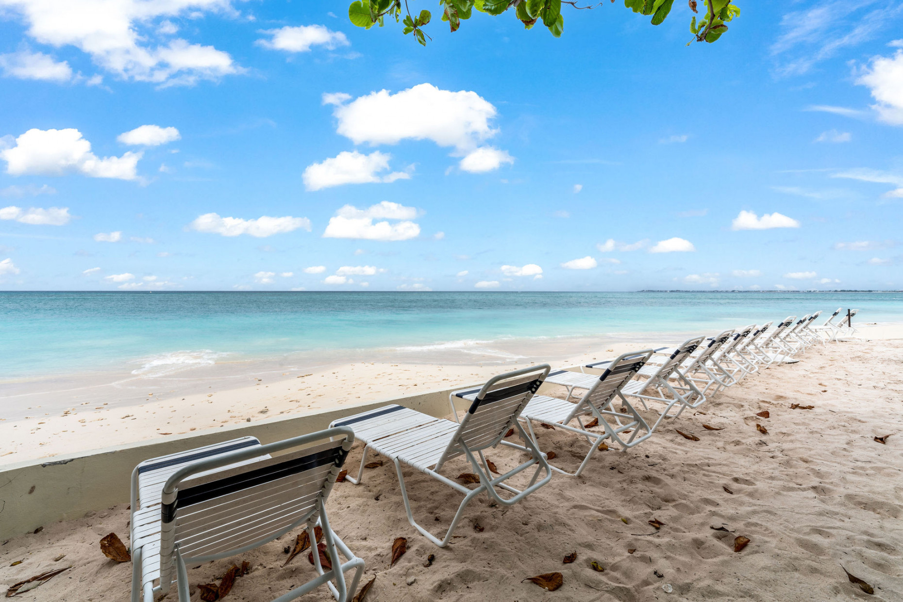 Seagull | Seven Mile Beach Front, Unit 2