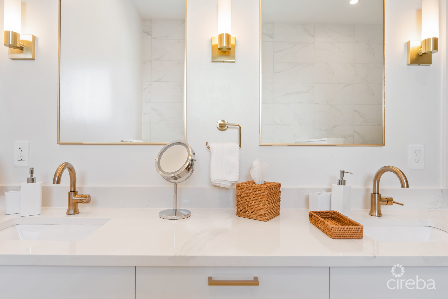 BOGGY SANDS CLUB TURTLE 2