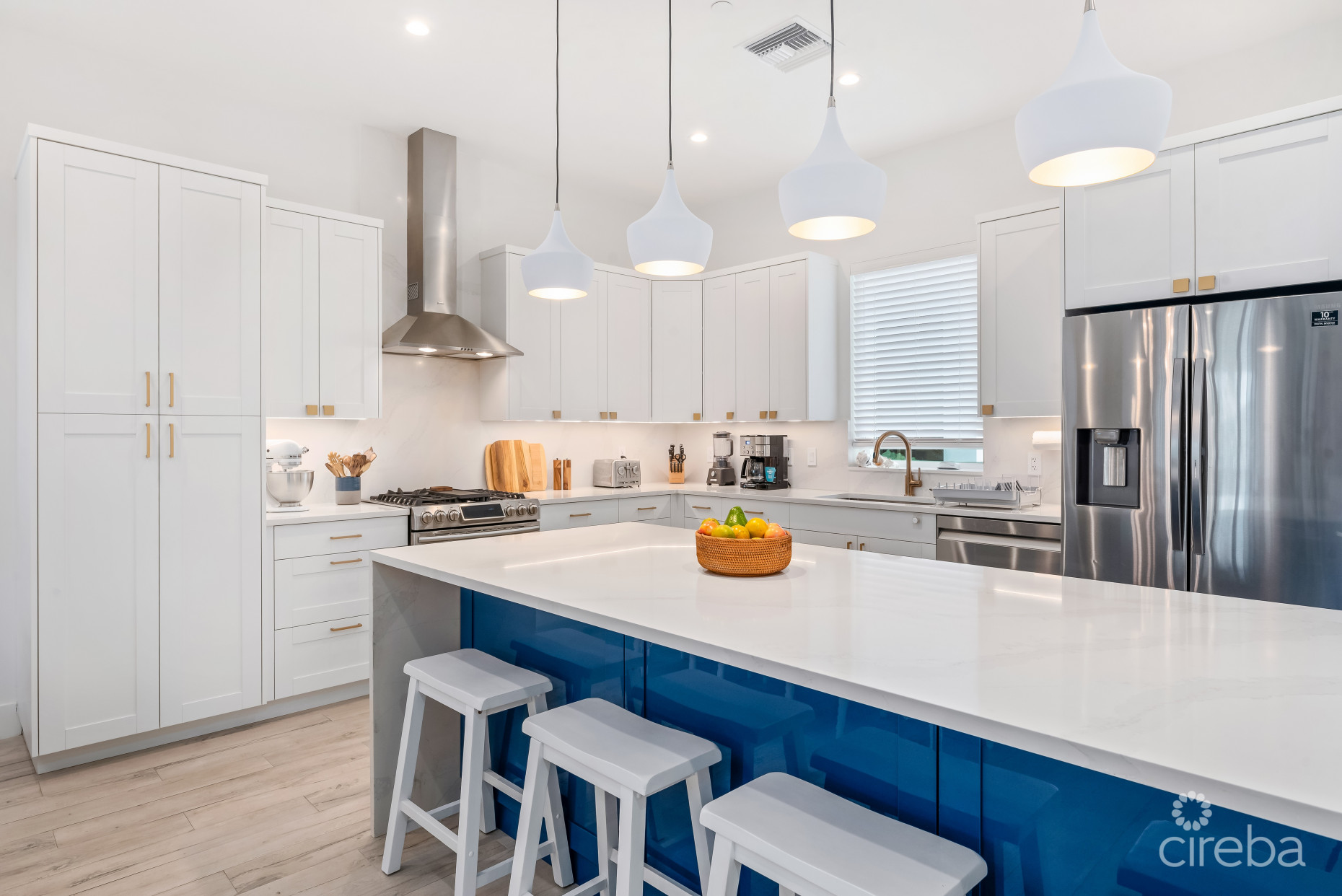 BOGGY SANDS CLUB TURTLE 2