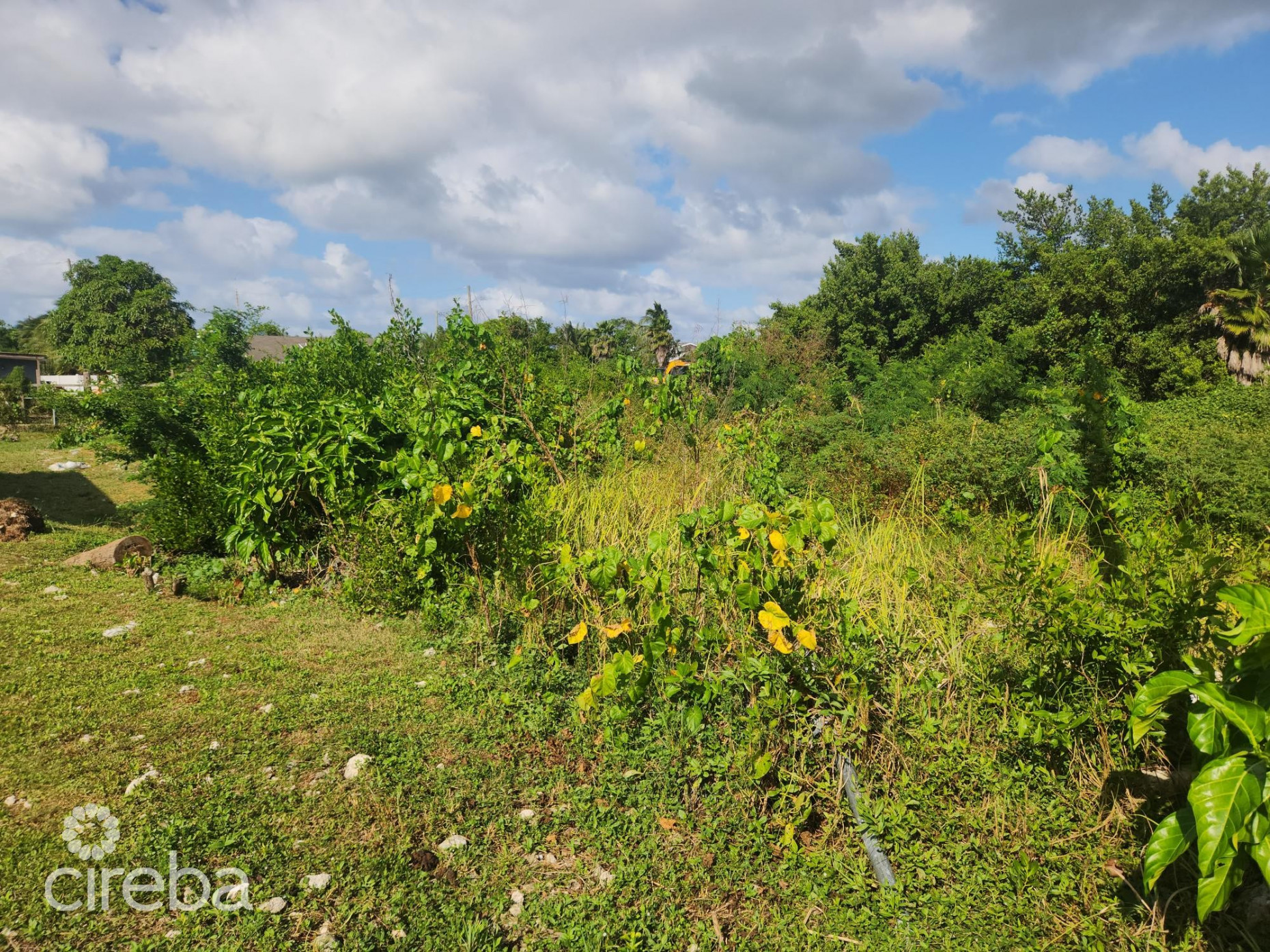 MIDLAND ACRES HOUSE LOT - BRING OFFERS!