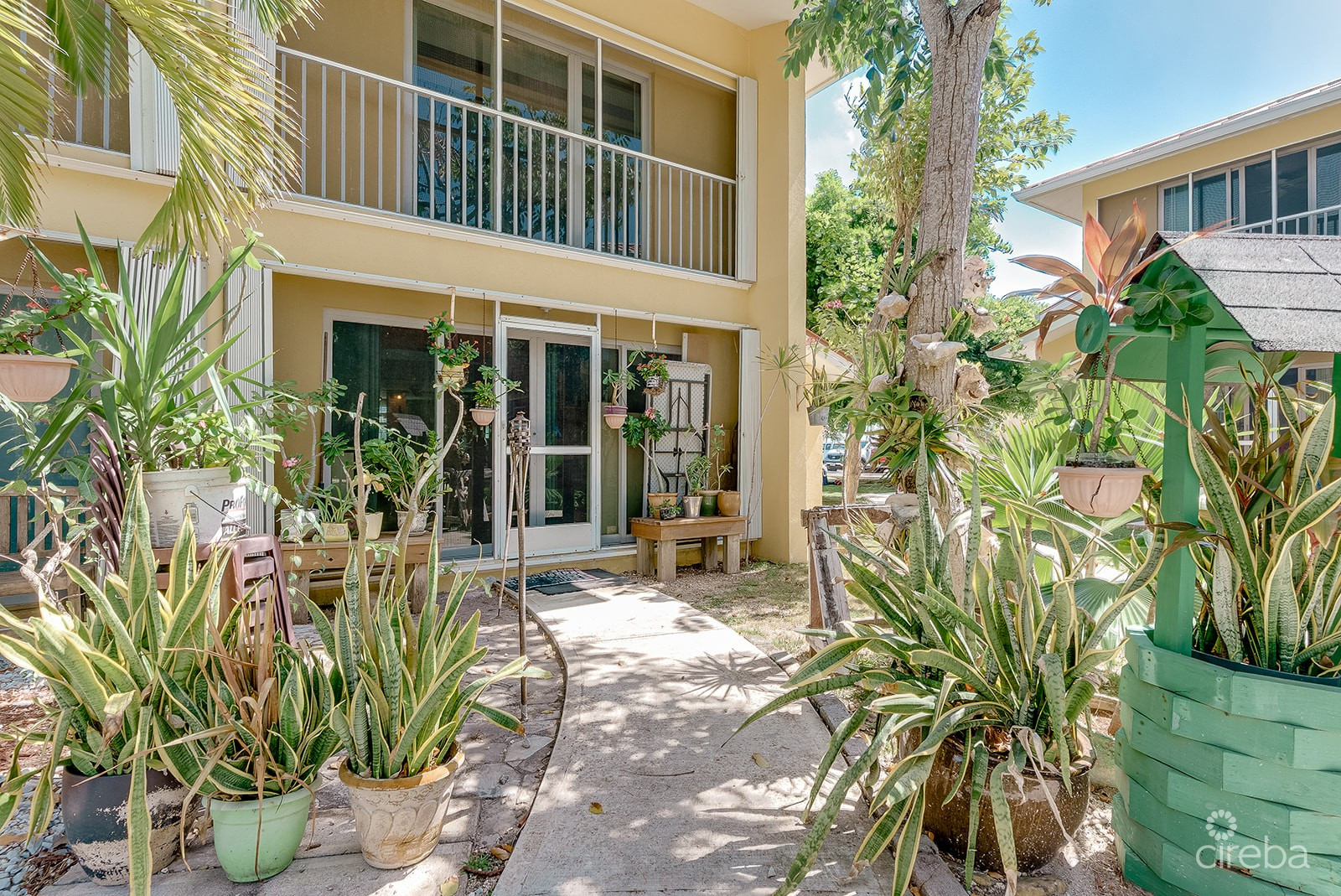 OCEAN CLUB - RENOVATED 2 BED/2.5BATH CORNER UNIT