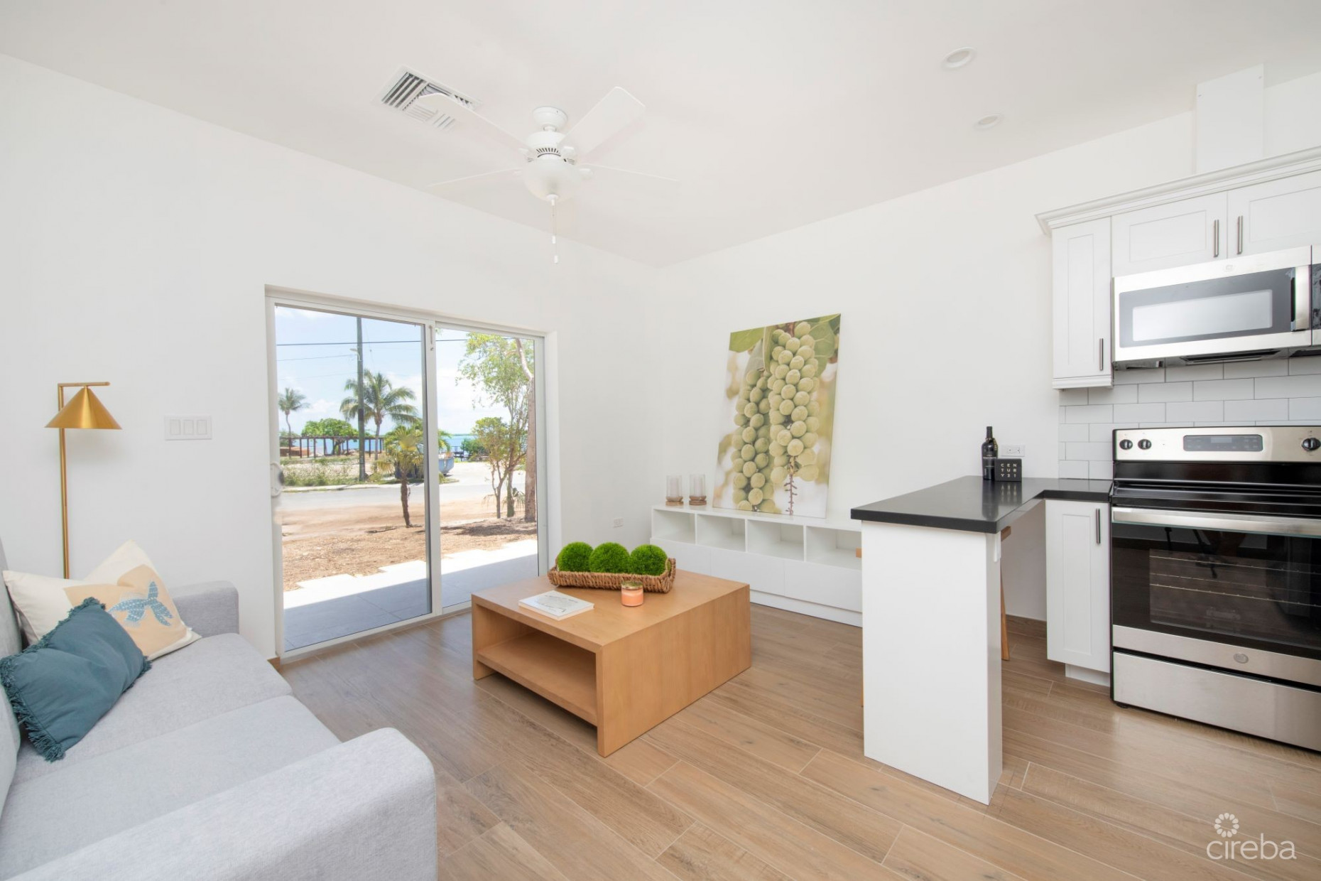 SEA MIST CONDOS UNIT 302 - DEVELOPER FINANCING