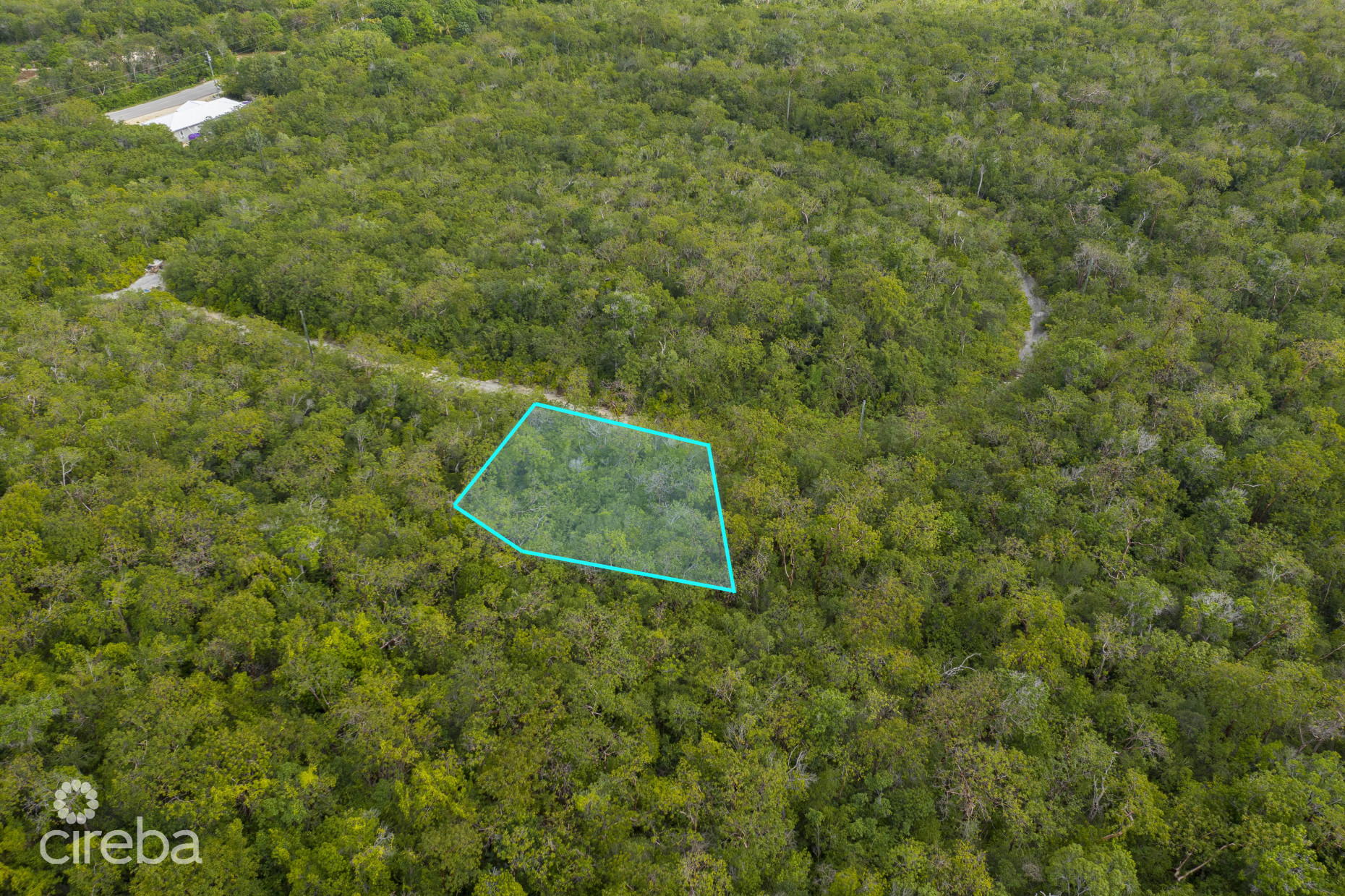 CAYMAN BRAC LAND 230