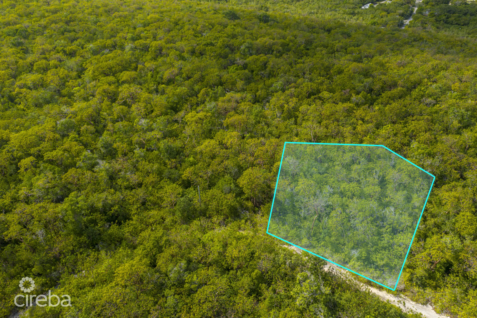 CAYMAN BRAC LAND 230