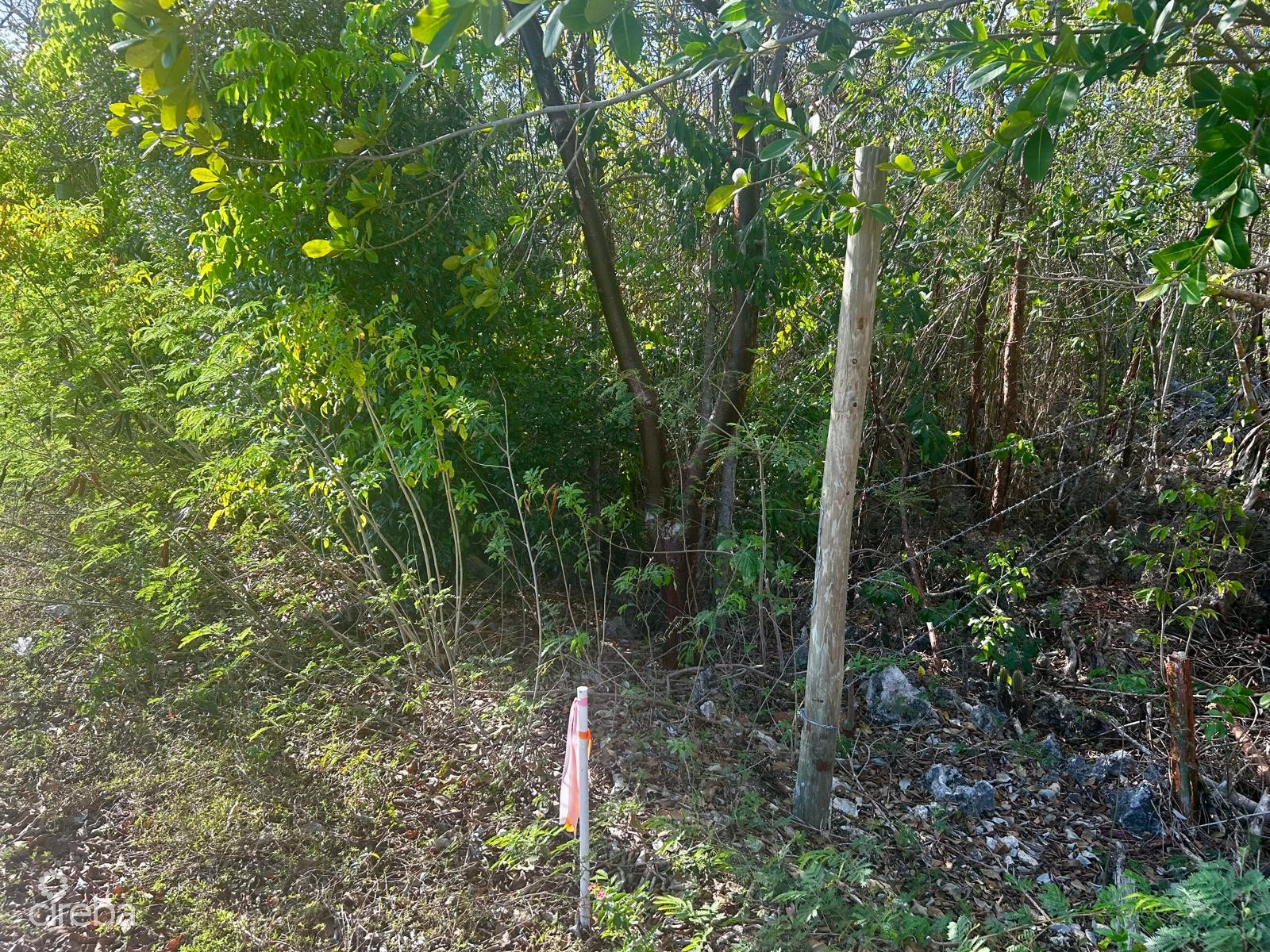 CAYMAN BRAC BLUFF LOT WITH FANTASTIC VIEWS