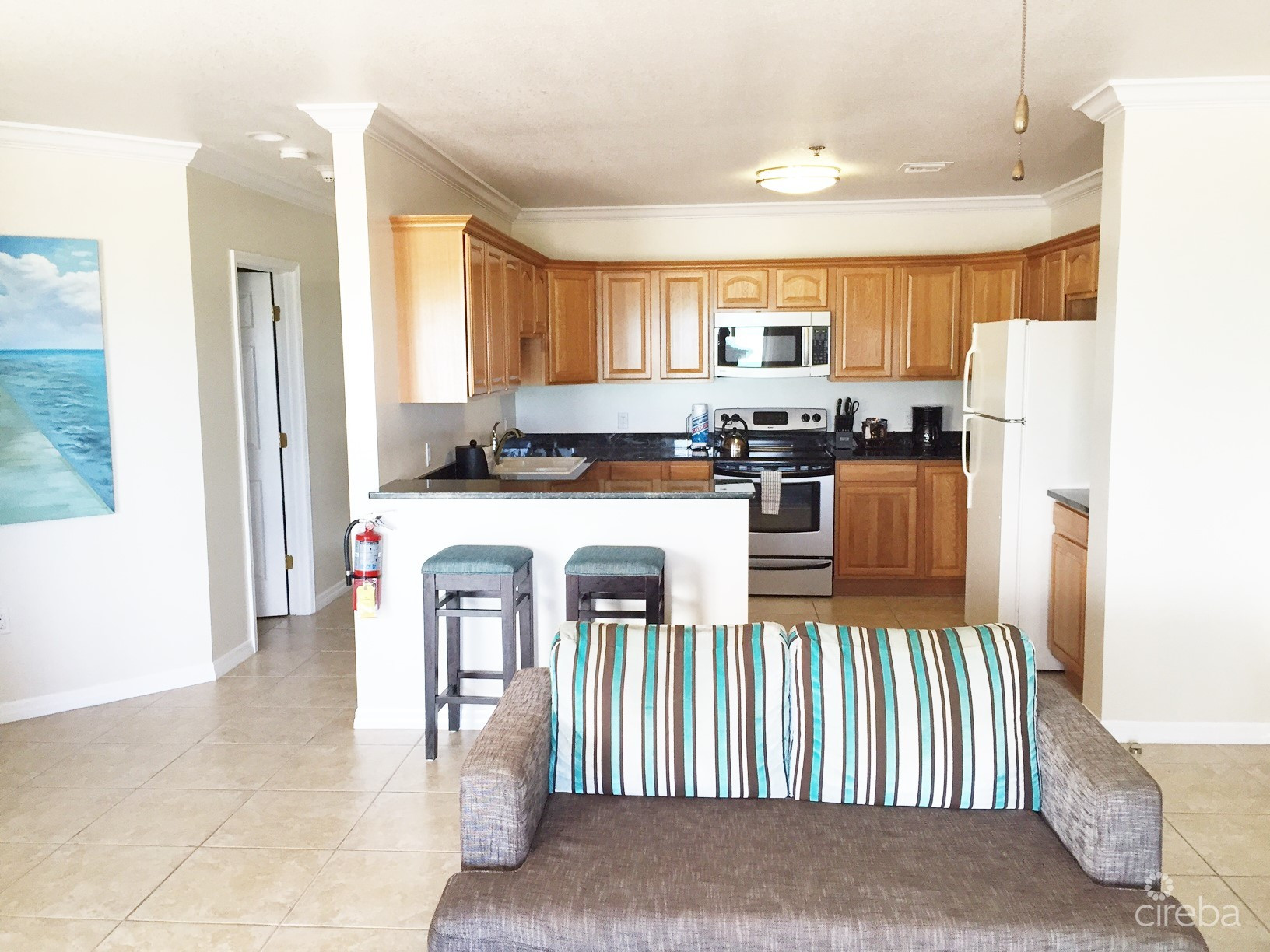 FRACTIONAL SHARE CONDO