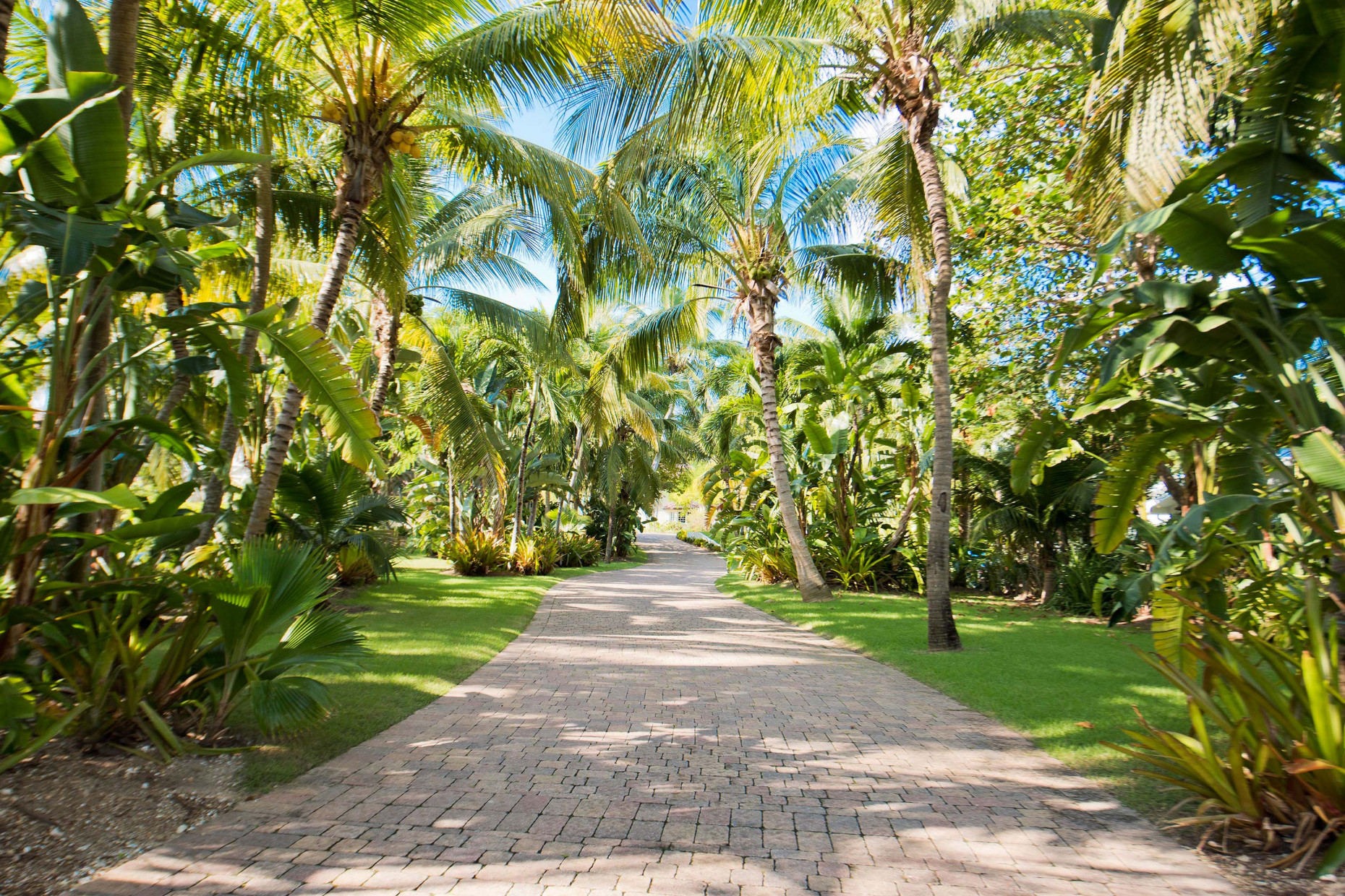 Coconut Walk -  Seven Mile Beach Estate