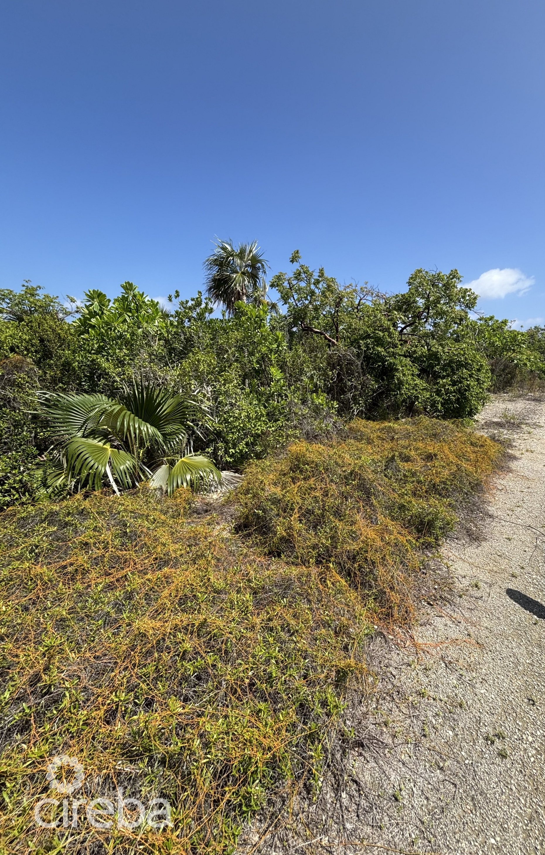 LITTLE CAYMAN LOT CLOSE TO POINT OF SAND