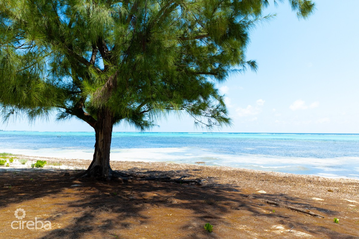 PRIME BEACHFRONT DEVELOPMENT OPPORTUNITY