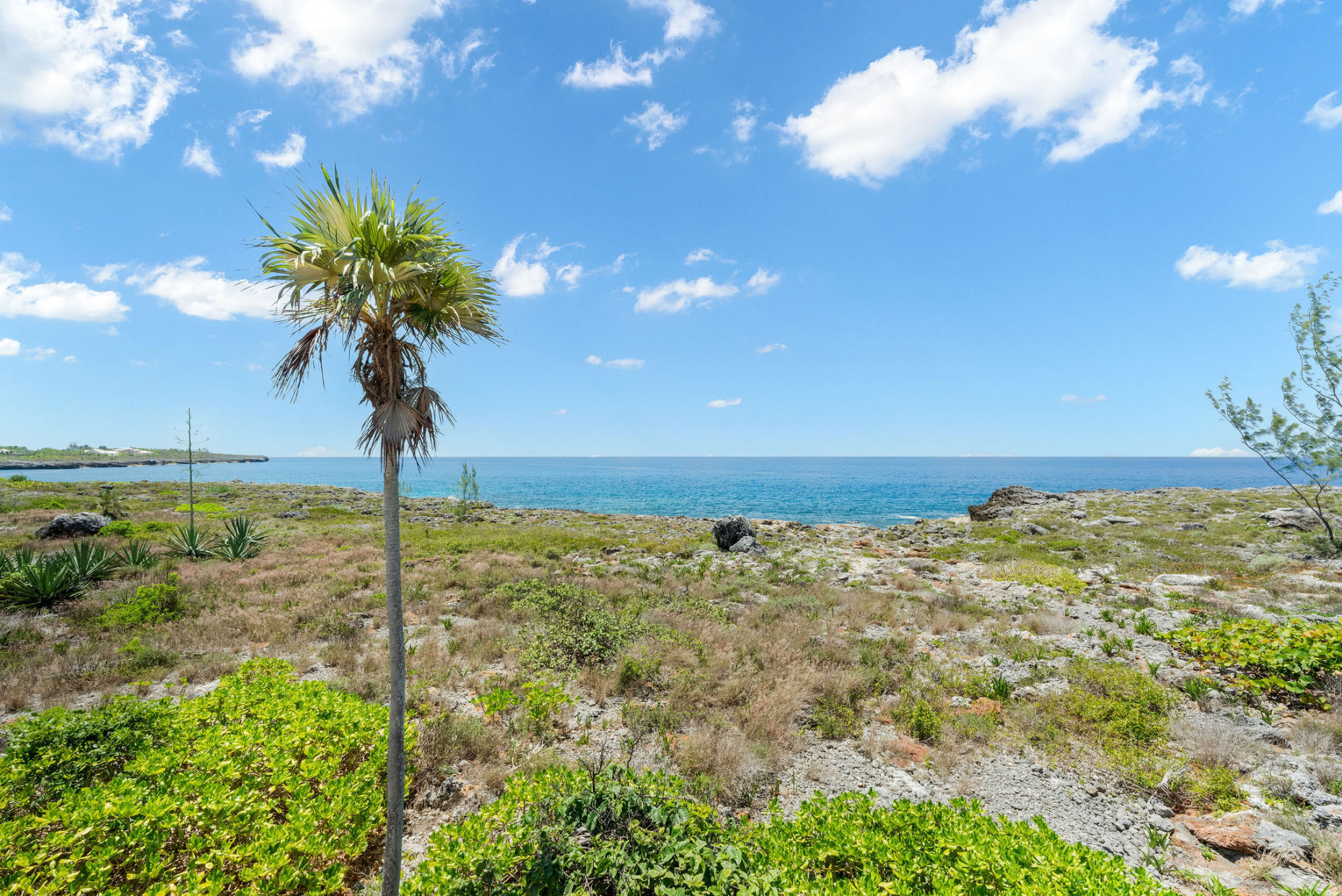 Savannah Oceanfront 3 Acre Estate