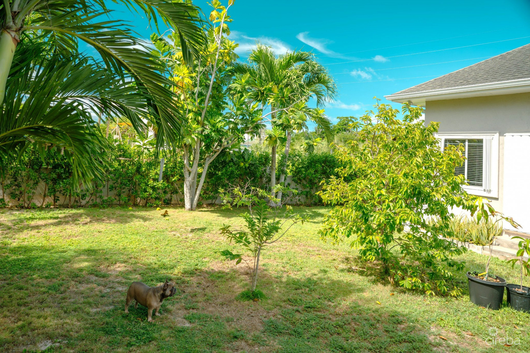 4 BEDROOM BEAUTIFUL FAMILY HOME IN SAVANNAH