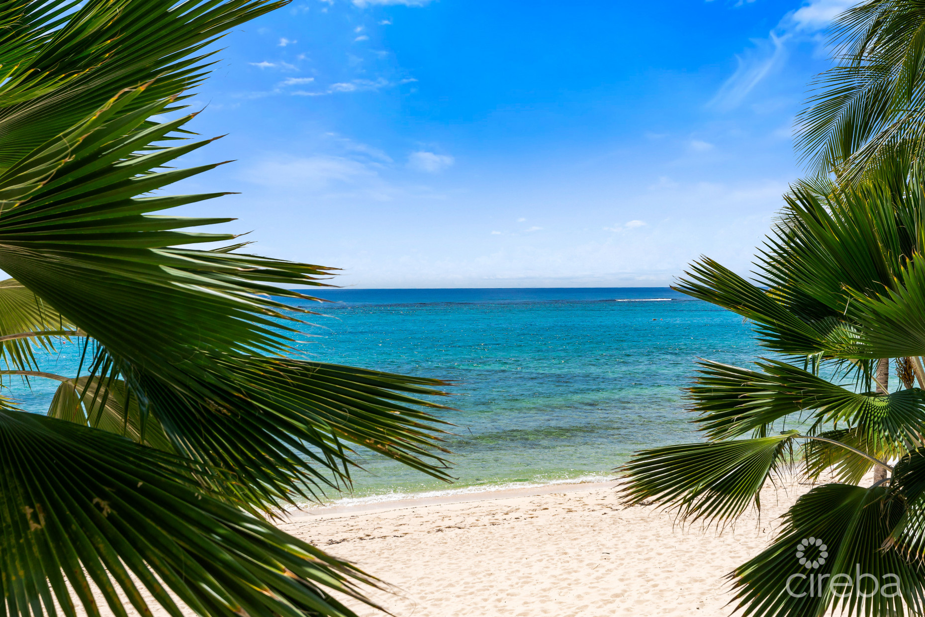 TIDES -  BEACHFRONT, LUXURY 4 BEDROOM CONDO WITH TERRACE