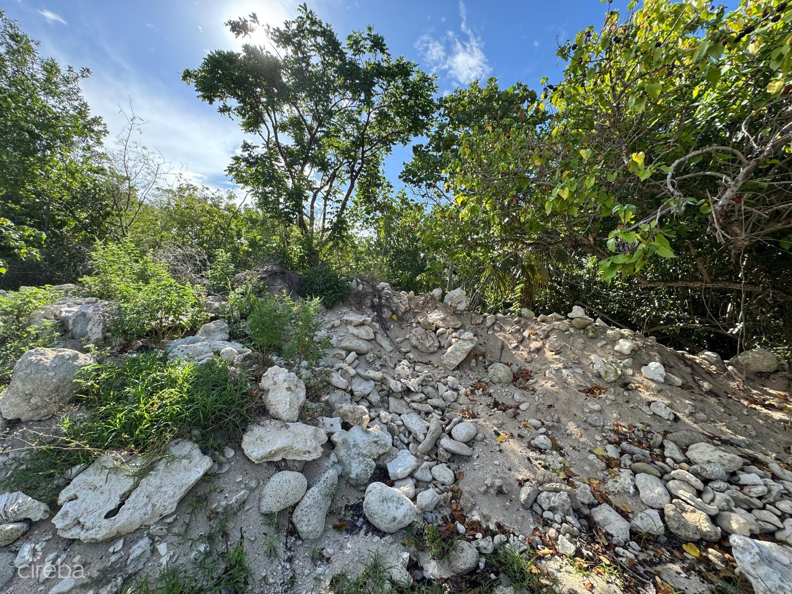 PRIME WEST END CAYMAN BRAC LAND PARCEL 100