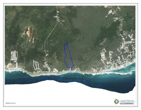 THE BLOW HOLES LOT #17