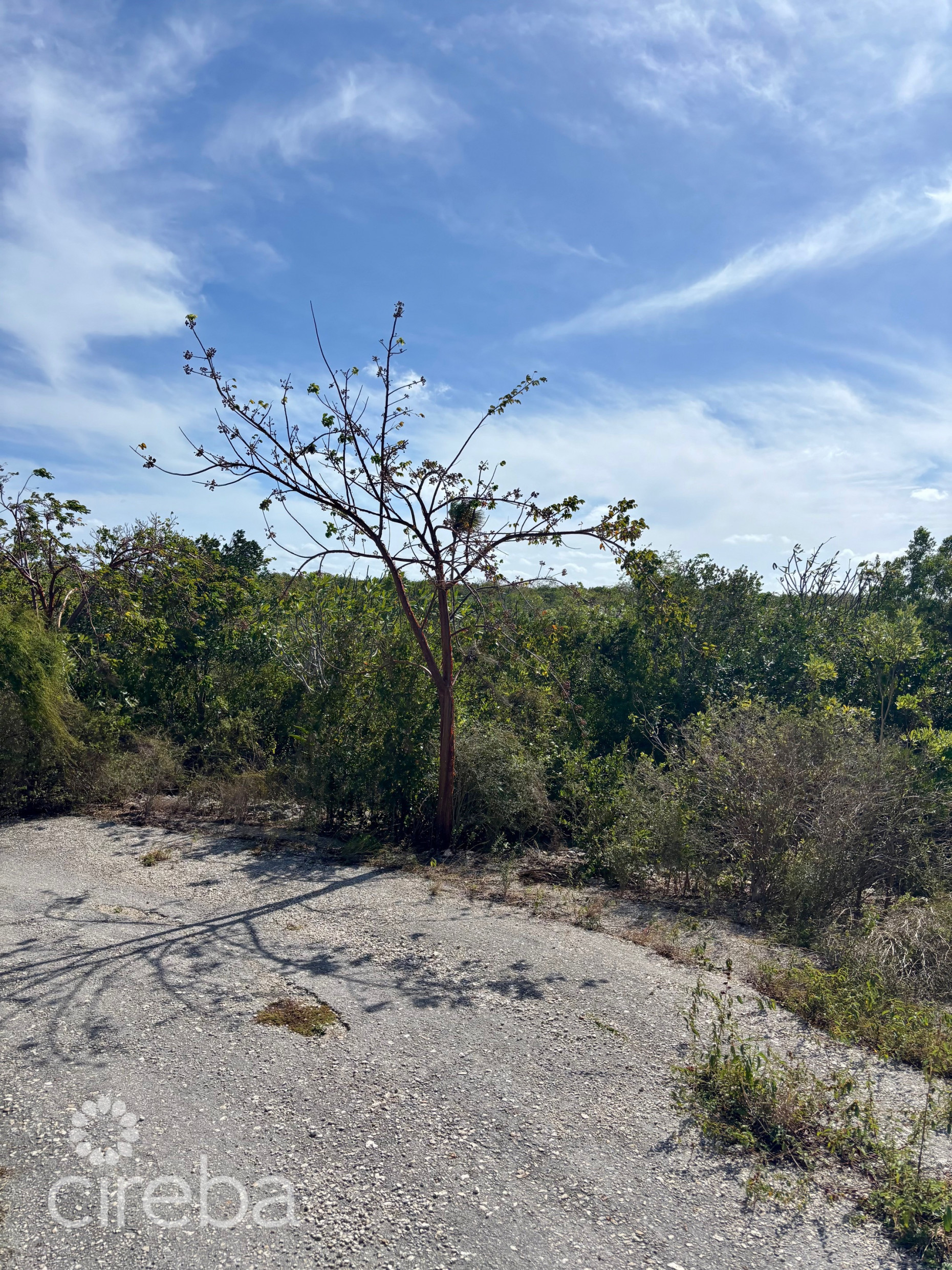 LITTLE CAYMAN EAST LOT - .5 ACRES