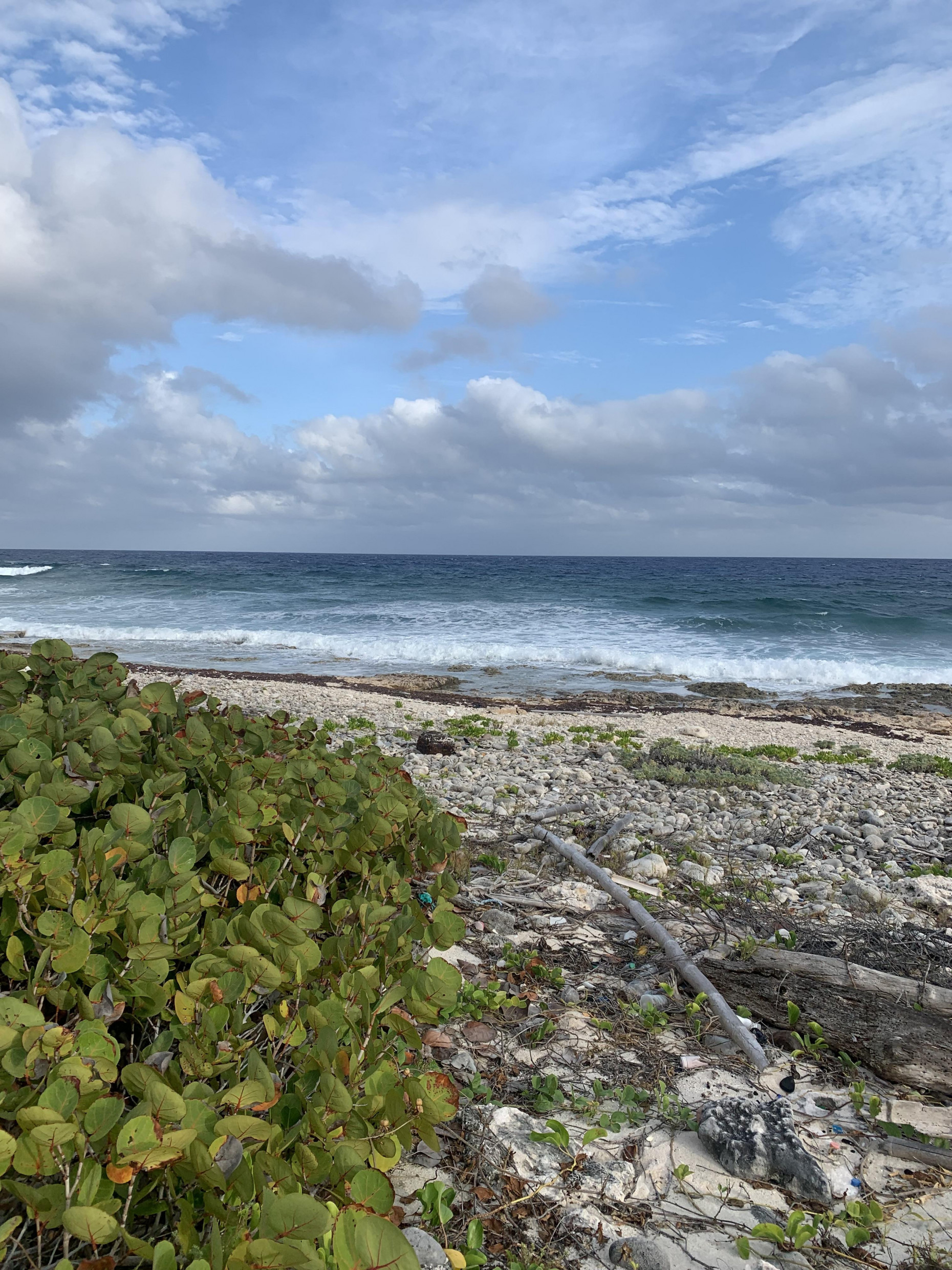 SOUTH SIDE OCEAN FRONT LAND