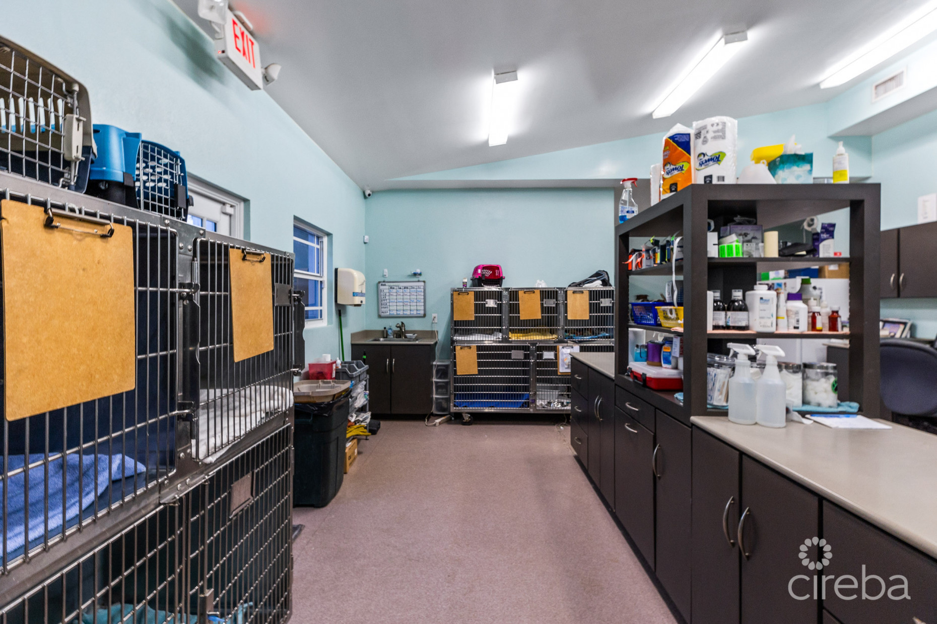 ISLAND VETERINARY SERVICES VET CLINIC AND PROPERTY