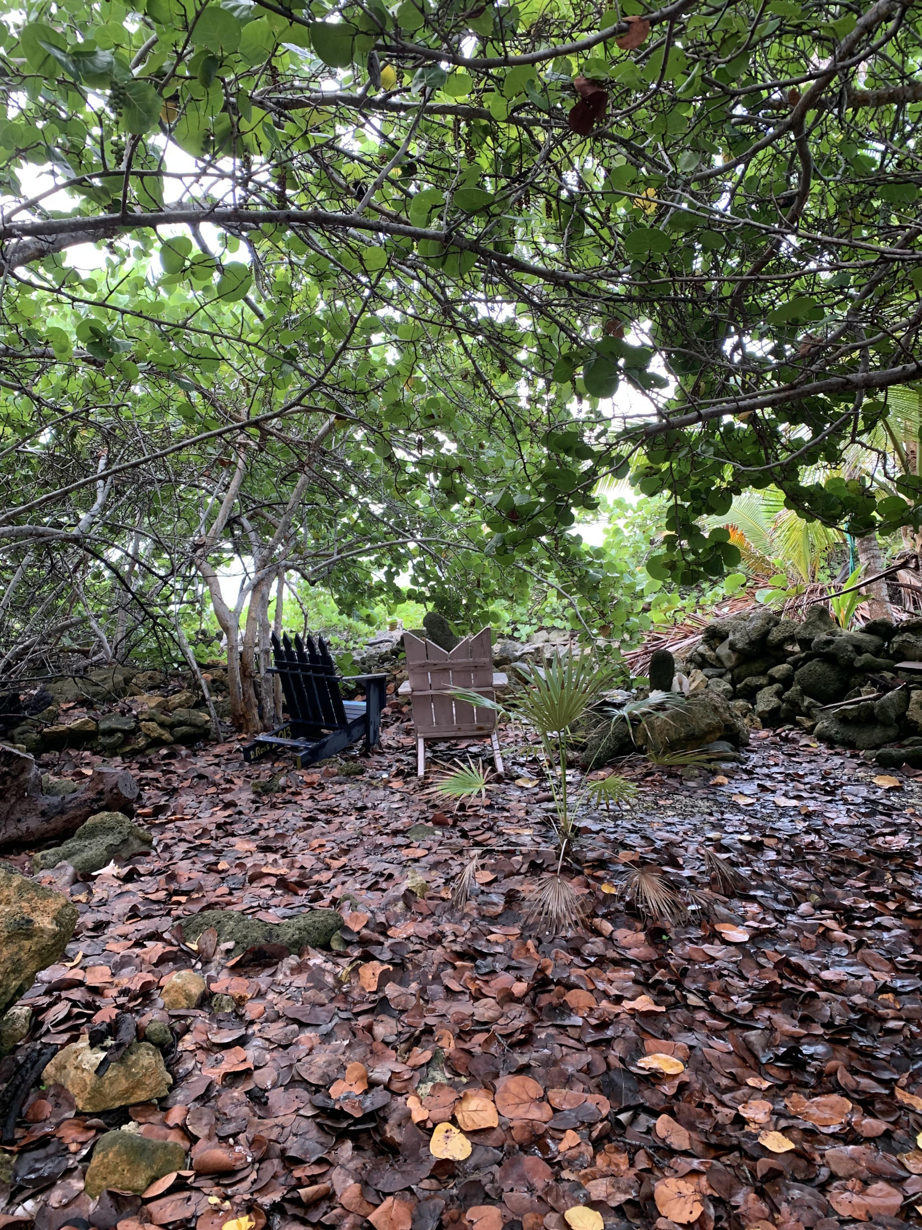 SOON COME - SOUTH SIDE EAST OCEAN FRONT LAND