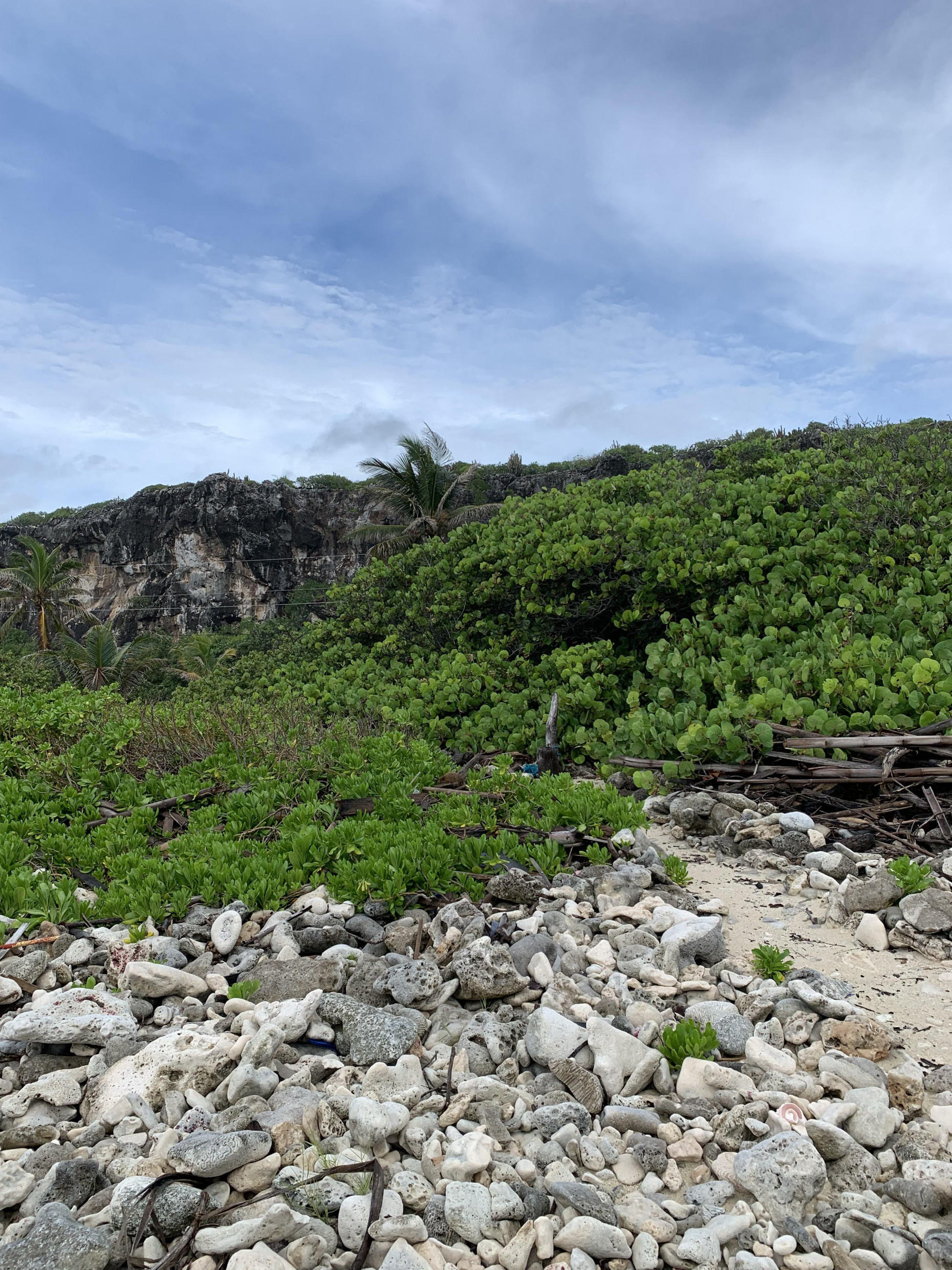 SOON COME - SOUTH SIDE EAST OCEAN FRONT LAND