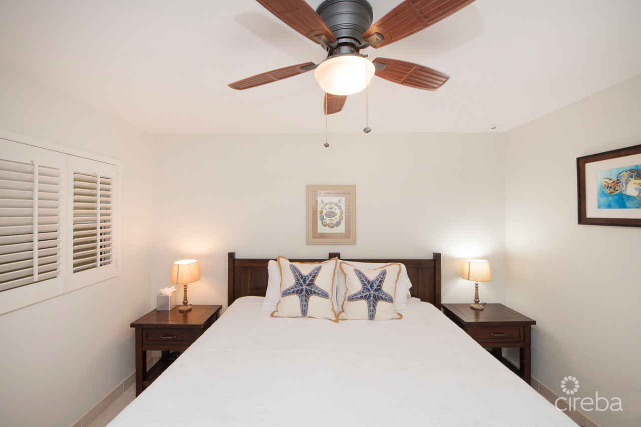 DISCOVERY POINT CLUB  #42