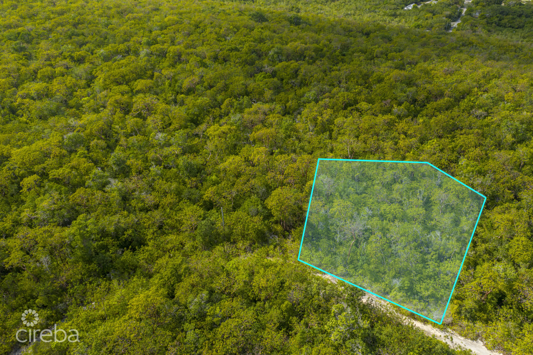 CAYMAN BRAC LAND 230