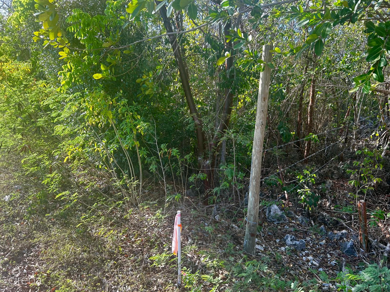 CAYMAN BRAC BLUFF LOT WITH FANTASTIC VIEWS