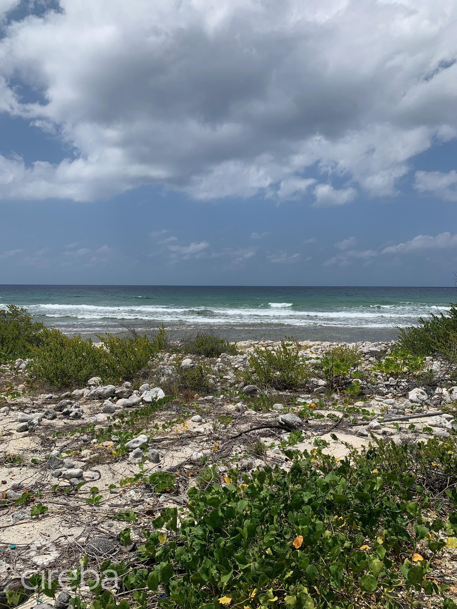 NORTHSIDE OCEAN FRONT AND INLAND PROPERTY