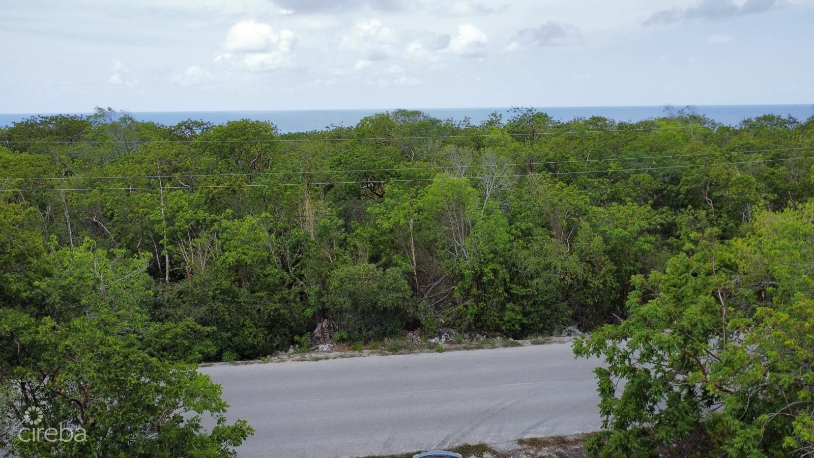 CAPT MABRY DR  CAYMAN BRAC  BLUFF OVERSIZED PARCEL
